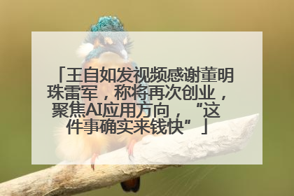 王自如发视频感谢董明珠雷军，称将再次创业，聚焦AI应用方向，“这件事确实来钱快”
