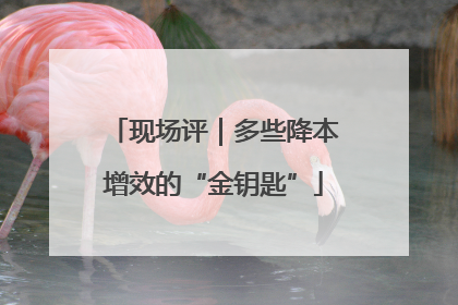 现场评｜多些降本增效的“金钥匙”