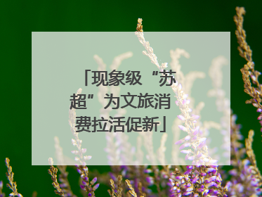 现象级“苏超”为文旅消费拉活促新
