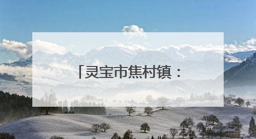 灵宝市焦村镇：粽叶飘香传孝意 志愿温情暖夕阳