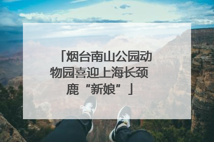 烟台南山公园动物园喜迎上海长颈鹿“新娘”