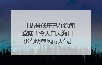 热带低压已在徐闻登陆！今天白天海口仍有明显风雨天气