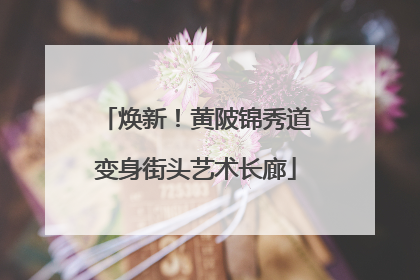 焕新！黄陂锦秀道变身街头艺术长廊