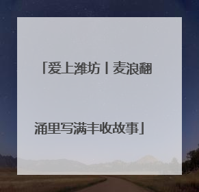 爱上潍坊丨麦浪翻涌里写满丰收故事