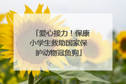 爱心接力！保康小学生救助国家保护动物冠鱼狗