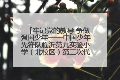 牢记党的教导 争做强国少年——中国少年先锋队临沂第九实验小学（北校区）第三次代表大会胜利召开