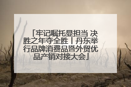 牢记嘱托显担当 决胜之年夺全胜丨丹东举行品牌消费品暨外贸优品产销对接大会