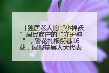 独居老人的“小棉袄”居民商户的“守护神”，警花扎根街巷16载，展现基层人大代表的炽热情怀