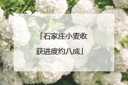 石家庄小麦收获进度约八成