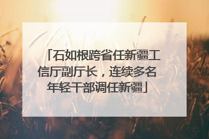 石如根跨省任新疆工信厅副厅长，连续多名年轻干部调任新疆