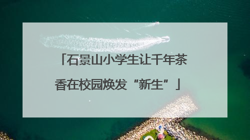 石景山小学生让千年茶香在校园焕发“新生”