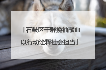 石鼓区干群挽袖献血 以行动诠释社会担当