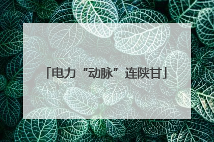 电力“动脉”连陕甘