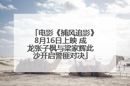 电影《捕风追影》8月16日上映 成龙张子枫与梁家辉此沙开启警匪对决