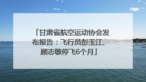 甘肃省航空运动协会发布报告：飞行员彭玉江、顾志敏停飞6个月