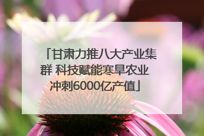 甘肃力推八大产业集群 科技赋能寒旱农业冲刺6000亿产值