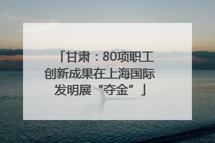 甘肃：80项职工创新成果在上海国际发明展“夺金”