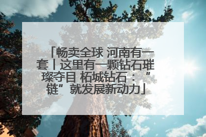 畅卖全球 河南有一套丨这里有一颗钻石璀璨夺目 柘城钻石：“链”就发展新动力