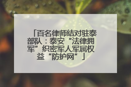 百名律师结对驻泰部队：泰安“法律拥军”织密军人军属权益“防护网”