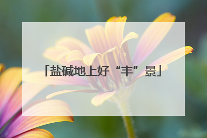 盐碱地上好“丰”景