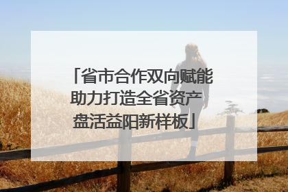 省市合作双向赋能 助力打造全省资产盘活益阳新样板