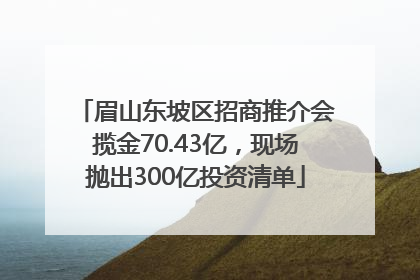 眉山东坡区招商推介会揽金70.43亿，现场抛出300亿投资清单