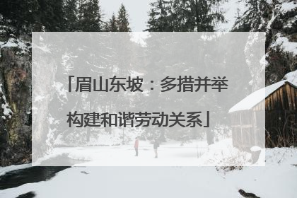 眉山东坡：多措并举构建和谐劳动关系