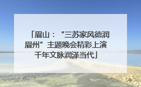眉山：“三苏家风德润眉州”主题晚会精彩上演千年文脉润泽当代