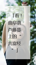 看！曲阜葫芦藤蔓上的“共富经”