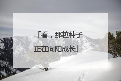 看，那粒种子正在向阳成长