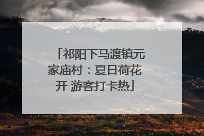 祁阳下马渡镇元家庙村：夏日荷花开 游客打卡热