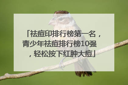 祛痘印排行榜第一名，青少年祛痘排行榜10强，轻松按下红肿大痘