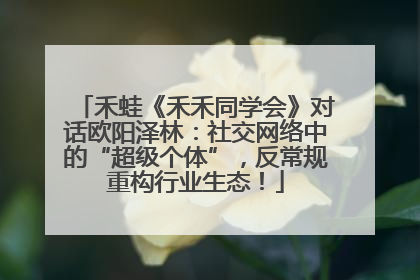 禾蛙《禾禾同学会》对话欧阳泽林：社交网络中的“超级个体”，反常规重构行业生态！