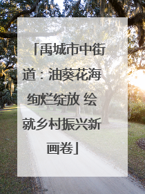 禹城市中街道：油葵花海绚烂绽放 绘就乡村振兴新画卷