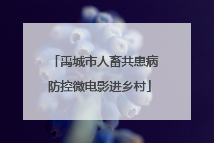 禹城市人畜共患病防控微电影进乡村