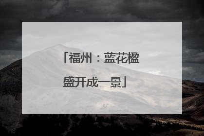 福州：蓝花楹盛开成一景