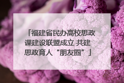 福建省民办高校思政课建设联盟成立 共建思政育人“朋友圈”