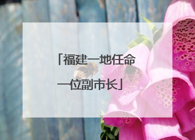 福建一地任命一位副市长