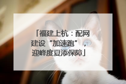 福建上杭：配网建设“加速跑”，迎峰度夏添保障