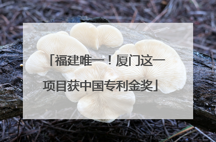福建唯一！厦门这一项目获中国专利金奖