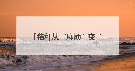 秸秆从“麻烦”变“香饽饽” 打捆回收这波操作太赚了！