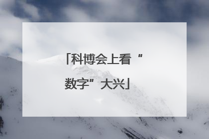 科博会上看“数字”大兴