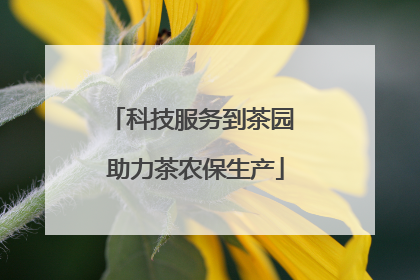 科技服务到茶园 助力茶农保生产