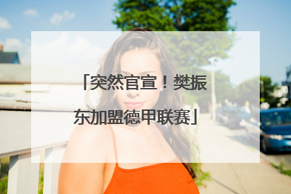 突然官宣！樊振东加盟德甲联赛