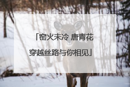 窑火未冷 唐青花穿越丝路与你相见