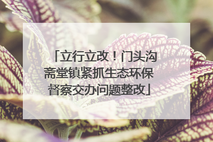 立行立改！门头沟斋堂镇紧抓生态环保督察交办问题整改