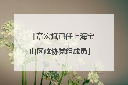 章宏斌已任上海宝山区政协党组成员
