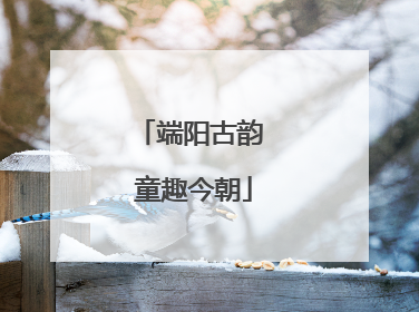 端阳古韵 童趣今朝