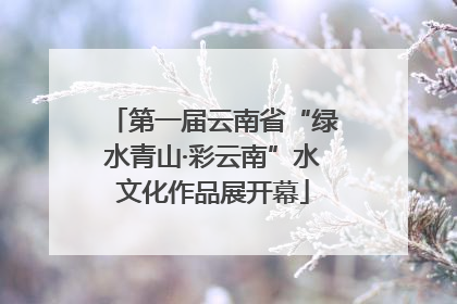 第一届云南省“绿水青山·彩云南”水文化作品展开幕