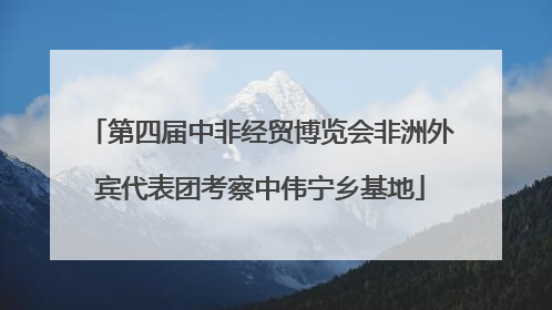 第四届中非经贸博览会非洲外宾代表团考察中伟宁乡基地
